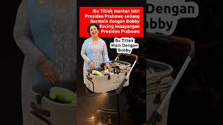 tokoh  Mantan istri Prabowo menyukai kucing Bobby milik Prabowo shortsviral trending prabowo [upl. by Tima]