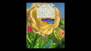 Surah ArRahman ♡  Al Quran ♡  The Straight path  صراط المستقيم [upl. by Linda]