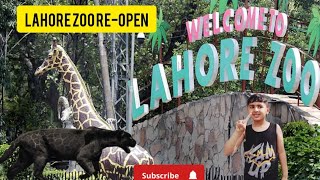 Lahore Zoo🐅🐆🦍🦏🐘 dubara Khul gea bht rush tha new animal at Lahore zoo [upl. by Elohcin]