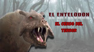 💎 El ENTELODON  El cerdo prehistórico del TERROR 🌎 [upl. by Horvitz720]