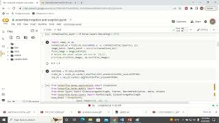 Python Code for Ensemble Model for Image Classification [upl. by Aihsemat]