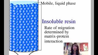 Protein Purification Chromatography [upl. by Keven]