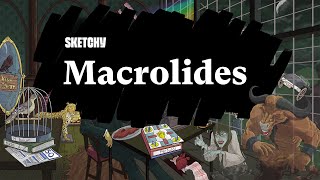 Comprehensive Guide to Macrolides and Their Uses Part 1  Sketchy Medical  USMLE Step 1 [upl. by Monroy314]