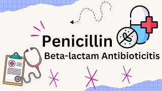 Penicillin Betalactam Antibiotic Mechanism of action How ti works [upl. by Maunsell436]