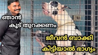 ലോകത്തിലെ ഏറ്റവും വലിയ നായ Dog challenge Leash Talks [upl. by Ruphina405]