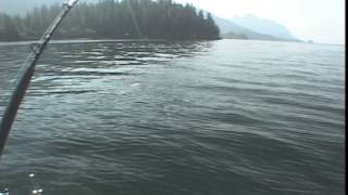 Alaska Salmon Shark Fishing Part 1 [upl. by Eibob]