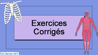 Exercices ATP amp MUSCLE Partie 7 🔥🔥 2bac SVT  2 bac PC [upl. by Maguire]