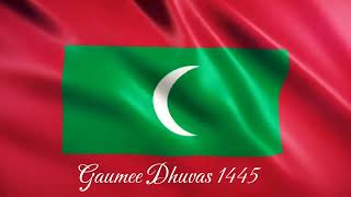 Gaumee Dhuvas 1445  Bandhi  Wafa [upl. by Ellehcar]