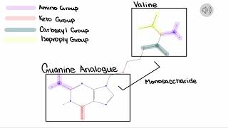 Medicinal Chemistry Assignment 10 Tara Merrick [upl. by Bomke]