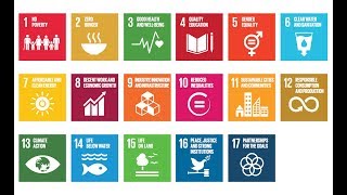 The SDGs issues and challenges [upl. by Enyak210]