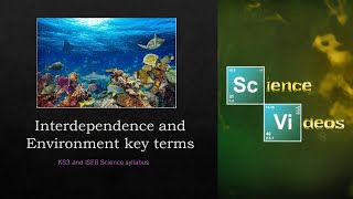 KS3 and common Entrance Environment and Interdependence key terms [upl. by Ehudd]