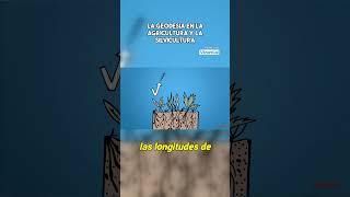 La geodesia en la agricultura y la silvicultura [upl. by Oicnerual]