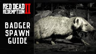 Red Dead Redemption 2  American Badger Locations  Ingredients Satchel RDR2 [upl. by Kammerer]