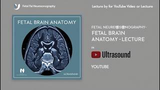 Fetal Brain Anatomy in Ultrasound [upl. by Huntington773]