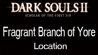 Fragrant Branch of Yore Location  Dark Souls 2 Scholar of the First Sin [upl. by Kipp]