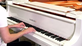 Piano Live  Dragon Ball GT  Opening Dan Dan Kokoro Hikareteku  Full Version [upl. by Eerol]