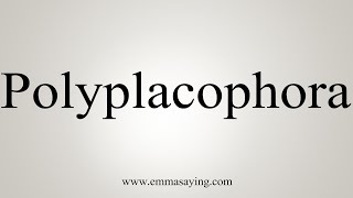 How To Say Polyplacophora [upl. by Atinuj]