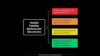 MPFL Medial Patellofemoral Ligament Anatomy MSKMRI JLEE [upl. by Dixon]