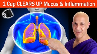 1 Cup to CLEAR UP Mucus amp InflammationSupport Your Sinuses Chest and Lungs Dr Mandell [upl. by Curhan992]