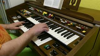 Der Harung und die Flunder  In einen Harung jung und schlank  played on Yamahe Electone C55N [upl. by Lunna]