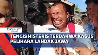 Terdakwa Kasus Pelihara Landak Jawa Nangis Histers Usai Jalani Sidang [upl. by Kcor]