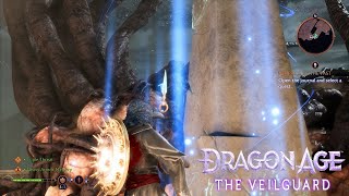 Hossberg Wetlands Evanuris Altar Statues Locations amp Solutions  Dragon Age The Veilguard [upl. by Neleag208]