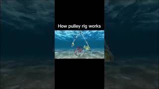 How pulley rig works [upl. by Borroff]