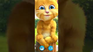 Cat videos for Cats to watch string  🌶️ Billi video  2 [upl. by Wald447]