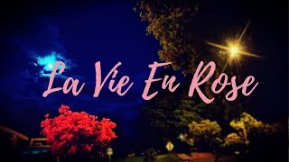 La Vie En Rose Acoustic  Spanish Version  D4ve [upl. by Aisatna957]