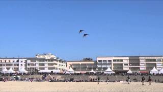 CerfsVolants Berck 2014  CerfsVolants Folie [upl. by Elly716]