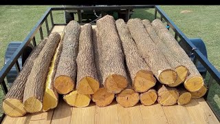 How to Remove Osage Sapwood and Bark Quickly [upl. by Tirrag]