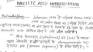 Nucleic Acid Hybridization  BscMsc Zoology Notes In Hindi  viral trending zoology [upl. by Cavallaro]