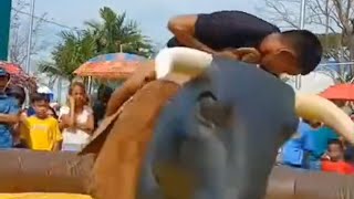 FUN BULL RIDING [upl. by Dinesh502]