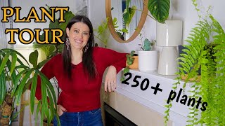 Full Houseplant Home Tour  250 Plants  My Entire Plant Collection [upl. by Esiralc]