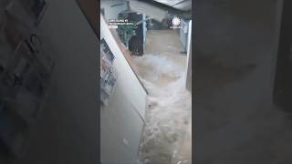 Flash Flood Wave of Water Destroys Local Library [upl. by Dohsar967]