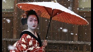 The Secret World Of Geishas [upl. by Aurore]