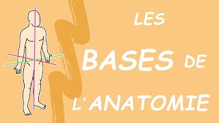 LES BASES DE LANATOMIE Généralités [upl. by Keane]