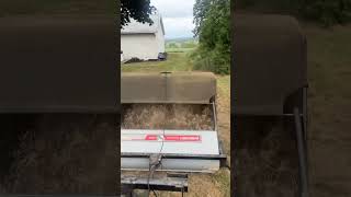 How to collect thatch  dethatching made easy [upl. by Venice]