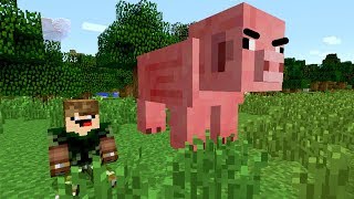 CONHECI O DEUS PORCÃO DO MINECRAFT [upl. by Serafine]