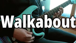 Walkabout  Red Hot Chili Peppers guitar cover [upl. by Ys735]