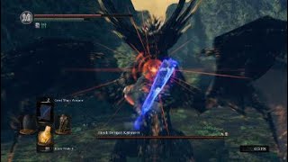 Dark Souls Remastered Walkthrough Black Dragon Kalameet  Video 28 [upl. by Ennovyhc115]