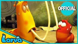 LARVA Funny Animation  LARVA AND THE SPAGHETTI  Cartoons  Comics  LARVA Official [upl. by Sandye]