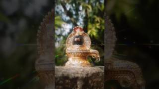 lord siva  ome namah shivaya  ome rudraya  monday special  shorts [upl. by Fatsug693]