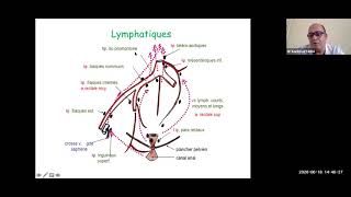 41 Cancer du rectum Dr CHERCHAR [upl. by Schweitzer]