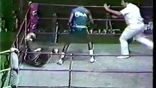 Teofilo Stevenson vs Michael Dokes [upl. by Nodnnarb]