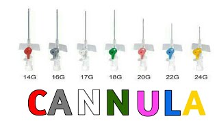 IV Cannula Sizes colortypes and uses [upl. by Lundin863]