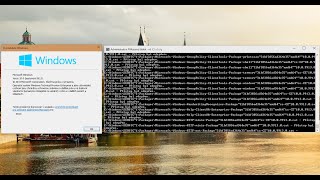 Destroying Czech Windows 10 Build 9913 [upl. by Klara]