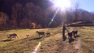 HautesAlpes  choisir de vivre librement dans les montagnes [upl. by Lucienne]