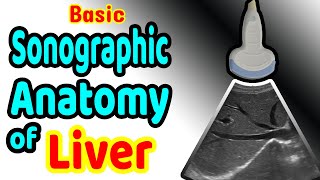 Basic Sonographic Anatomy of the Liver [upl. by Elbertina]