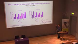 Exploring cytokine response to renal tubular epithelial cell stress [upl. by Aeresed]